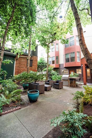 An outdoor courtyard with trees and plants in front of an apartment building
